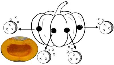 A greener approach to assess bioactive compounds in tropical pumpkin (Cucurbita moschata) using colorimetry